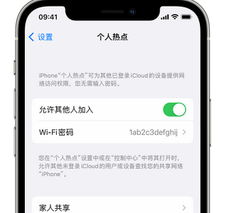 掇刀apple服务站点分享iPhone上个人热点丢失了怎么办 