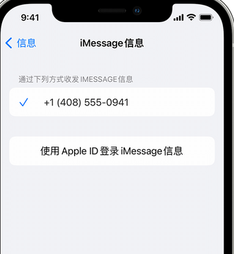 掇刀apple维修iPhone上无法正常发送iMessage信息 