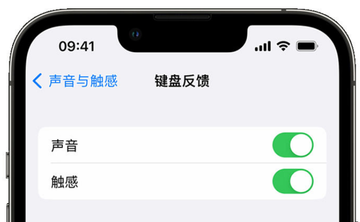 掇刀苹果手机维修分享iPhone 14触感键盘使用方法 