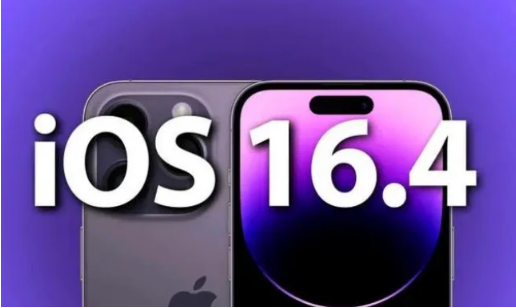 掇刀苹果14维修分享：iPhone14可以升级iOS16.4beta2吗？ 