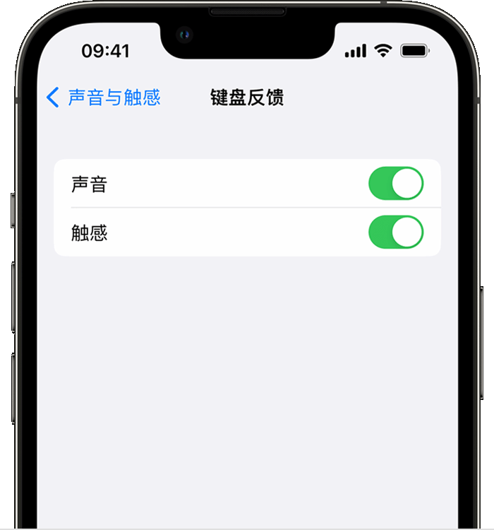 掇刀苹果14维修店分享如何在 iPhone 14 机型中使用触感键盘 