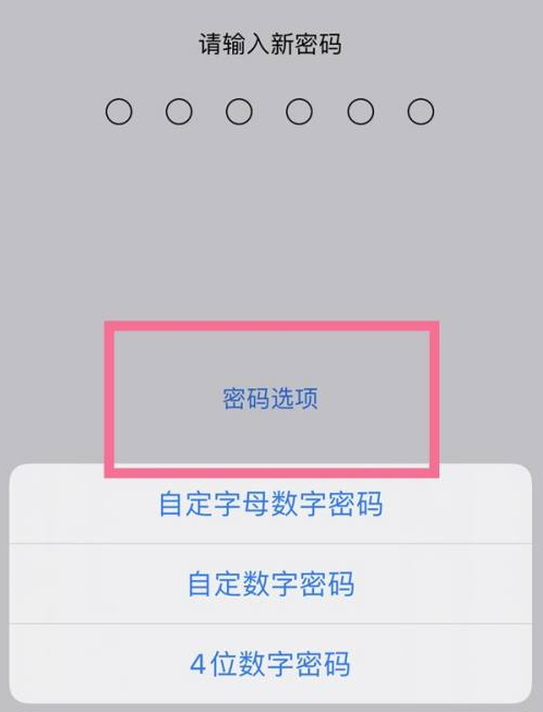 掇刀苹果14维修分享iPhone 14plus设置密码的方法 