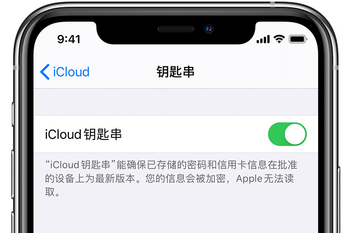 掇刀苹果手机维修分享在 iPhone 上开启 iCloud 钥匙串之后会储存哪些信息 